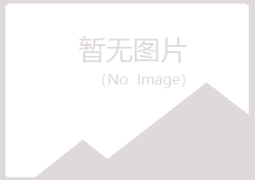 和政县女孩水泥有限公司